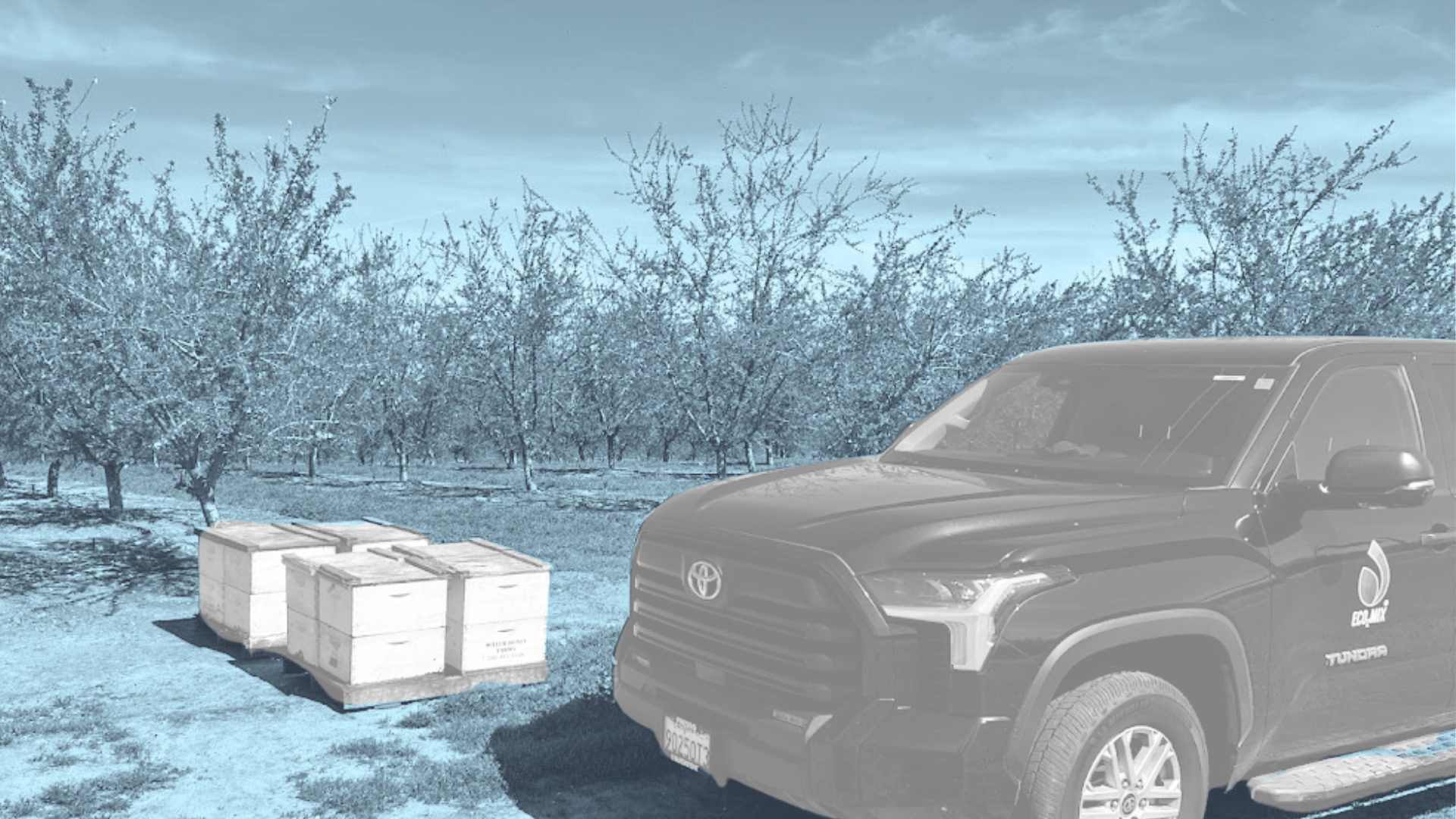 Sustainable Water pH Treatment for Almonds